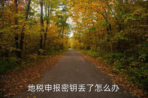武漢地稅密鑰如何補辦，地稅報稅key掉了補辦需要什么手續(xù)要多少錢