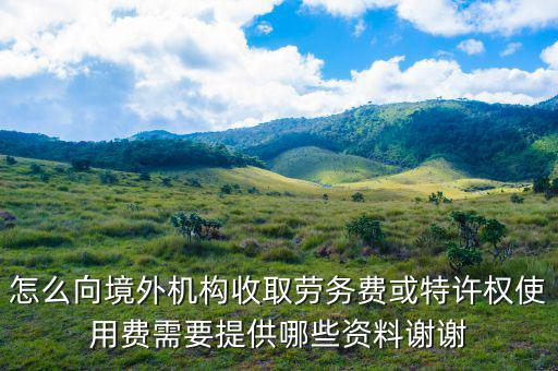 特許權(quán)使用費如何申報，支付的特許權(quán)使用費收入開什么發(fā)票