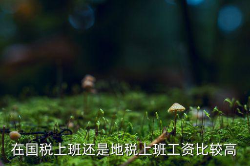 地稅局發(fā)展如何，我要考天津稅務局想問市區(qū)各地稅局和濱海地稅一分局哪個好呢