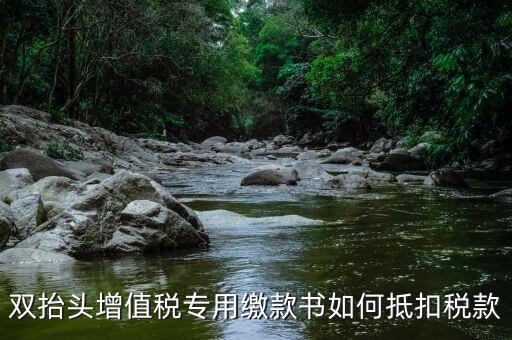 代理進口雙抬頭增值稅如何抵扣，海關(guān)稅單雙抬頭 增值稅抵扣問題