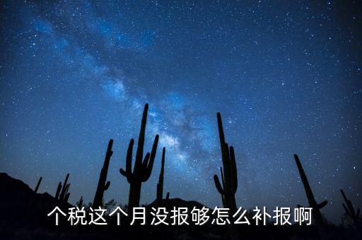 如何補(bǔ)報個人所得稅，個人所得稅報錯了怎么補(bǔ)報