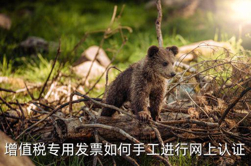 如何手工認(rèn)證發(fā)票，網(wǎng)上發(fā)票認(rèn)證怎么手工輸入