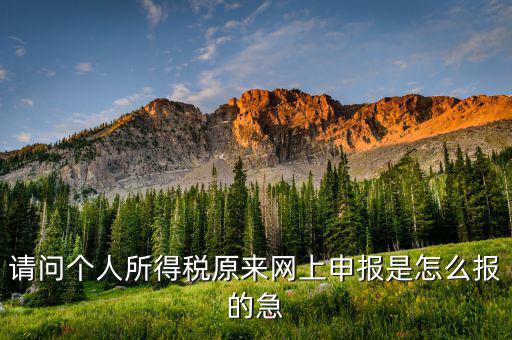 個人所得稅如何網(wǎng)上申報，個人所得稅網(wǎng)上申報流程