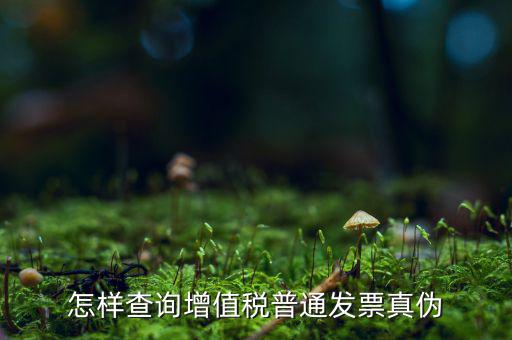 稅務(wù)局如何查發(fā)票真假，如何查稅務(wù)發(fā)票真假