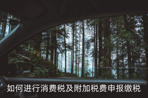 附加稅如何才能申報，如何進(jìn)行消費(fèi)稅及附加稅費(fèi)申報繳稅