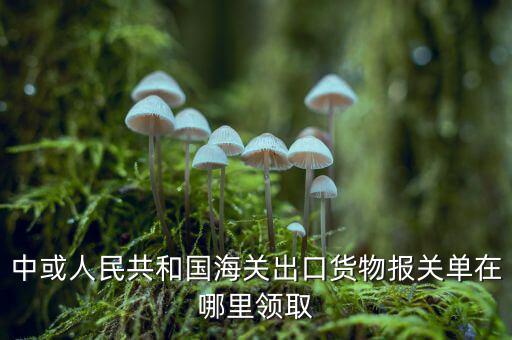 出口報關(guān)單如何取得，中或人民共和國海關(guān)出口貨物報關(guān)單在哪里領(lǐng)取