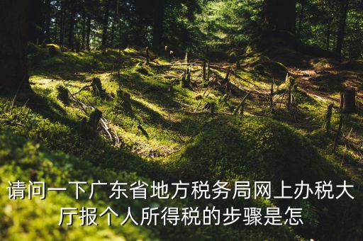 廣州地稅如何網(wǎng)上申報，想請教如何辦理廣州地稅網(wǎng)上申報