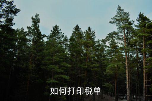 公司稅單如何查詢打印，關(guān)于公司稅單打印問題