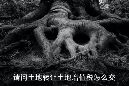 土地增值稅如何繳納，請問土地轉(zhuǎn)讓土地增值稅怎么交