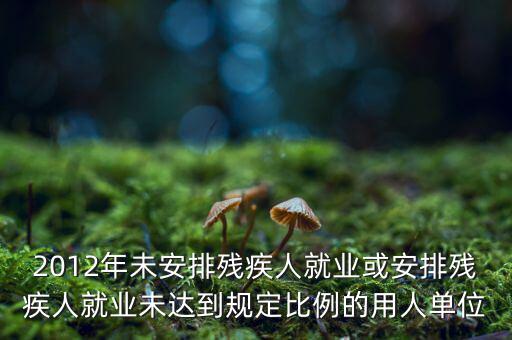 殘保金如何計算，2012年未安排殘疾人就業(yè)或安排殘疾人就業(yè)未達到規(guī)定比例的用人單位