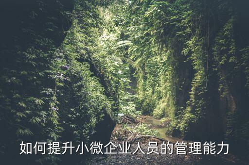 如何加強(qiáng)小型微利企業(yè)管理，如何提升小微企業(yè)人員的管理能力