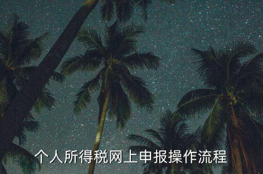 上海個人所得稅如何申報，上海企業(yè)如何交個人所得稅