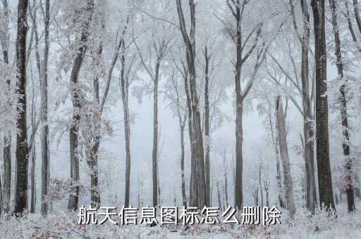 航天信息系統(tǒng)如何卸載，如何刪除系統(tǒng)信息