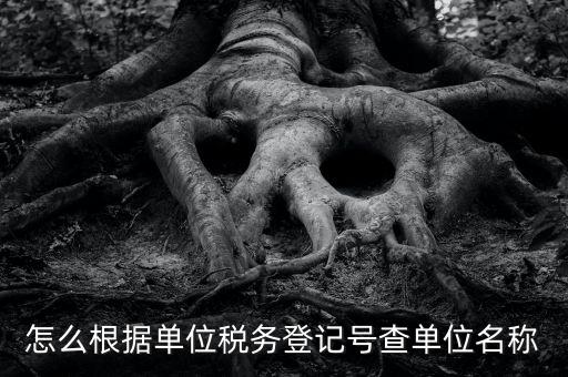 如何通過(guò)稅號(hào)查單位，知道納稅人識(shí)別號(hào)怎么查單位