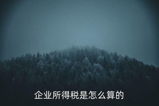公司所得稅如何計算，企業(yè)所得稅該怎么計算