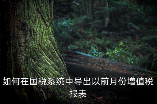 如何導(dǎo)出增值稅申報表，如何在國稅系統(tǒng)中導(dǎo)出以前月份增值稅報表