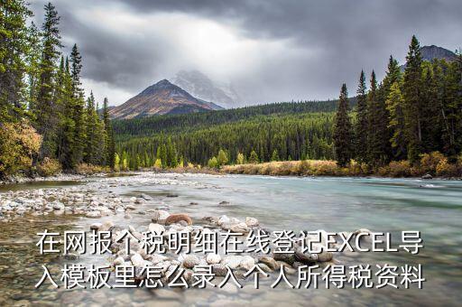 北京個稅明細申報如何導(dǎo)入，在網(wǎng)報個稅明細在線登記EXCEL導(dǎo)入模板里怎么錄入個人所得稅資料