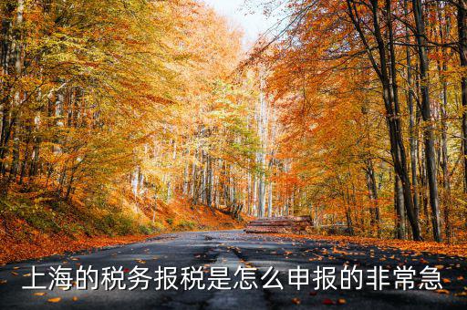 上海市國地稅如何申報，上海地稅是網(wǎng)上報稅嗎采取什么方式申報
