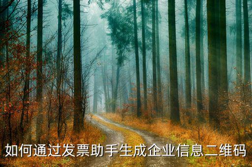 如何生成企業(yè)開票二維碼，如何通過發(fā)票助手生成企業(yè)信息二維碼