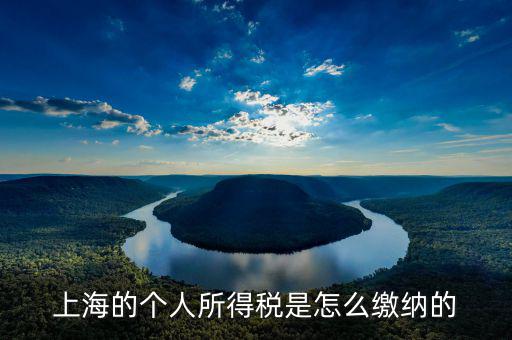 上海個人所得稅如何繳納，上海個人所得稅的繳納急