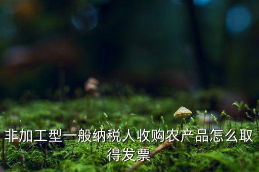 農(nóng)產(chǎn)品收購發(fā)票如何，農(nóng)產(chǎn)品收購發(fā)票如何開