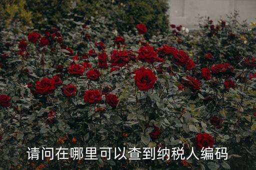 教您如何查詢納稅人代碼，忘記稅務征收機關(guān)代碼