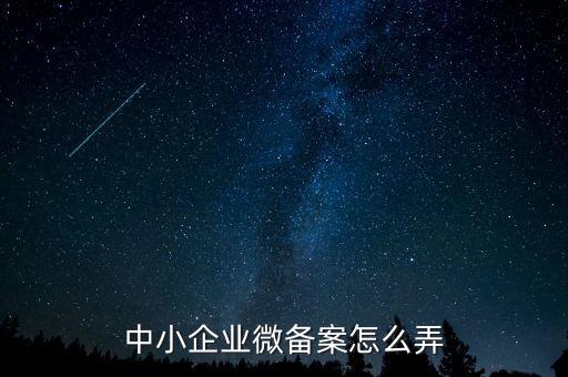 小型微型企業(yè)如何備案，小型微型企業(yè)登記備案