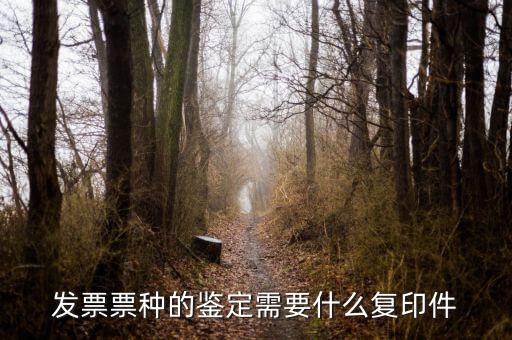 如何做票種認(rèn)定，如何申請(qǐng)發(fā)票票種