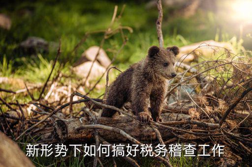 如何完善稅務(wù)一級(jí)稽查工作，新形勢(shì)下如何搞好稅務(wù)稽查工作