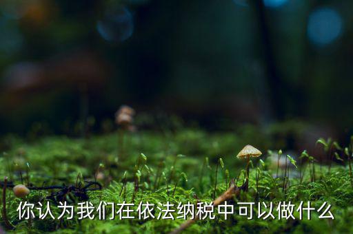 如何做到依法納稅，你認為我們在依法納稅中可以做什么