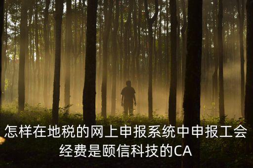工會經(jīng)費如何網(wǎng)上申報，怎樣在地稅的網(wǎng)上申報系統(tǒng)中申報工會經(jīng)費是頤信科技的CA