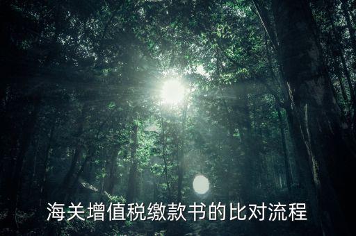 海關(guān)繳款書如何比對，海關(guān)進口增值稅準用繳款書的數(shù)據(jù)采集和比對