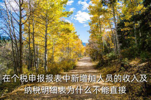 個稅申報如何增加新納稅人，在個稅申報報表中新增加人員的收入及納稅明細表為什么不能直接
