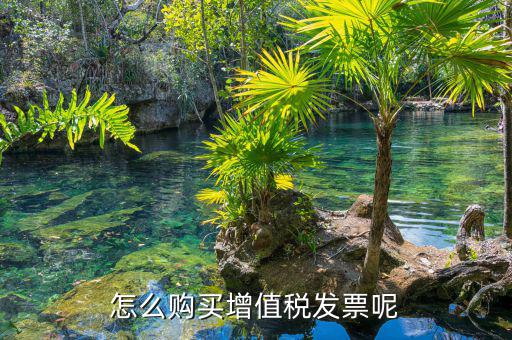 如何購票發(fā)票，購買發(fā)票怎么弄