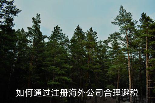 在境外注冊子公司如何避所得稅，離岸公司如何避個稅