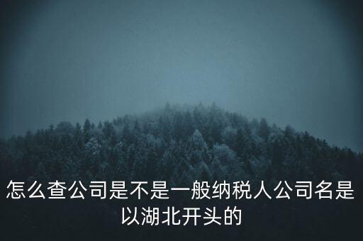 如何查詢企業(yè)是否是一般納稅人，怎么查公司是不是一般納稅人公司名是以湖北開頭的