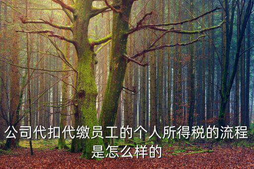 如何代扣代繳個(gè)人所得稅，代扣代繳個(gè)人所得稅