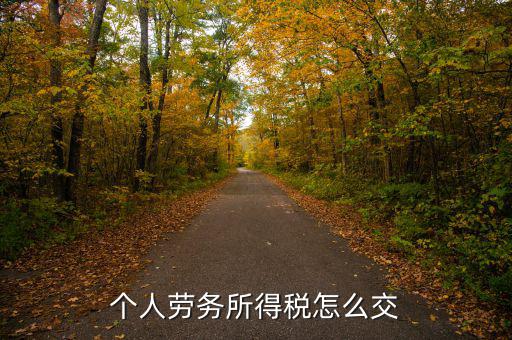 個人勞務費如何繳稅，勞務報酬所得怎么繳納個人所得稅