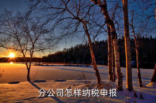 如何申報分公司所得稅，分公司的所得稅怎么報