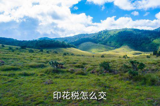個(gè)人如何繳納印花稅，印花稅怎么交