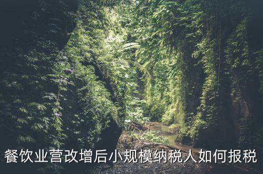 營(yíng)改增后小規(guī)模納稅人如何報(bào)稅，營(yíng)改增后小規(guī)模的怎么報(bào)稅