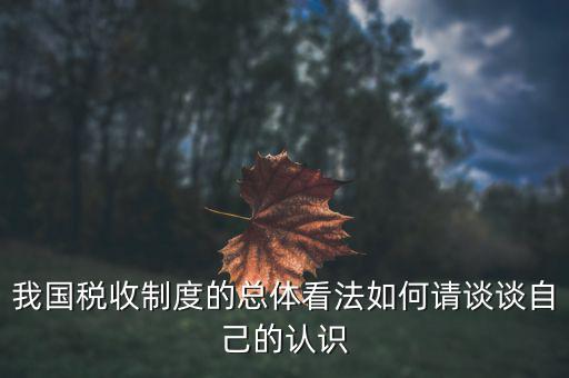 如何讓看待我國稅收改革，我國稅收制度的總體看法如何請談談自己的認識