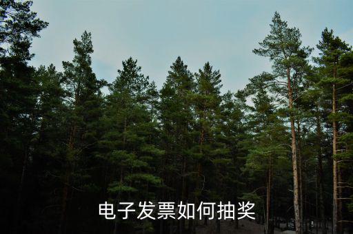 發(fā)票如何登記抽獎(jiǎng)，發(fā)票怎么抽獎(jiǎng)