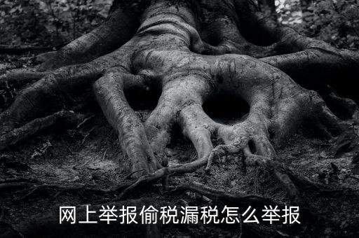 如何網(wǎng)上稅務(wù)舉報(bào)，網(wǎng)上舉報(bào)偷稅漏稅怎么舉報(bào)