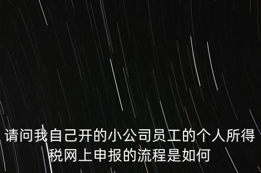 請問我自己開的小公司員工的個(gè)人所得稅網(wǎng)上申報(bào)的流程是如何