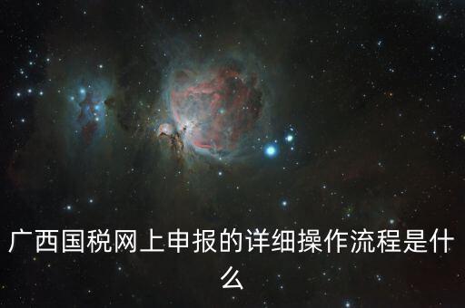 廣西國(guó)稅地稅如何網(wǎng)上申報(bào)系統(tǒng)，國(guó)稅網(wǎng)上怎么申報(bào)