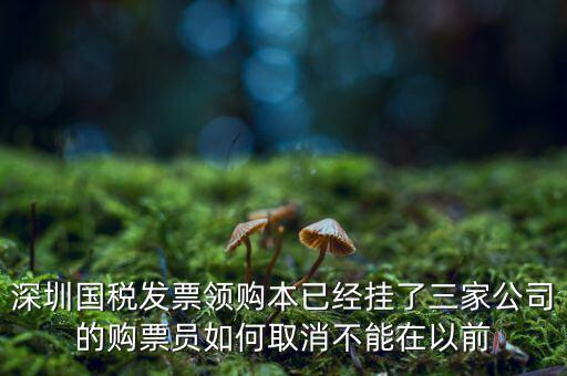 如何取消稅務(wù)局購票人，國稅如何刪除購票人