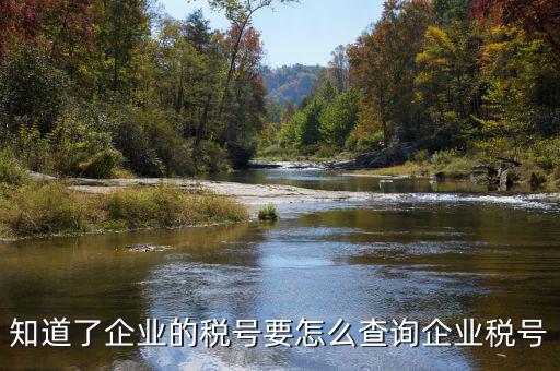 國際企業(yè)稅號如何查詢系統(tǒng)，美國客戶的稅號怎么網(wǎng)上查嗎