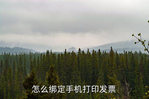 百旺電子發(fā)票如何綁定終端，尚未配備電子發(fā)票終端怎么處理