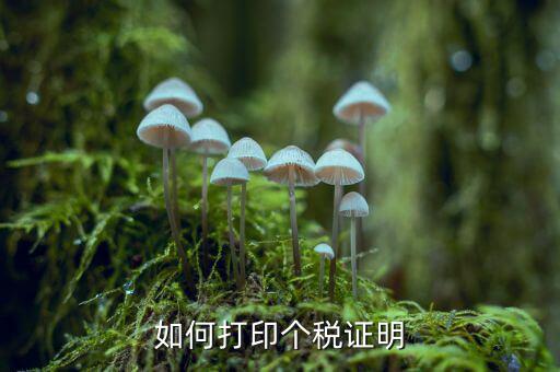 如何打印納稅證明嗎，去稅務(wù)局怎么打印增值稅完稅證明步驟操作